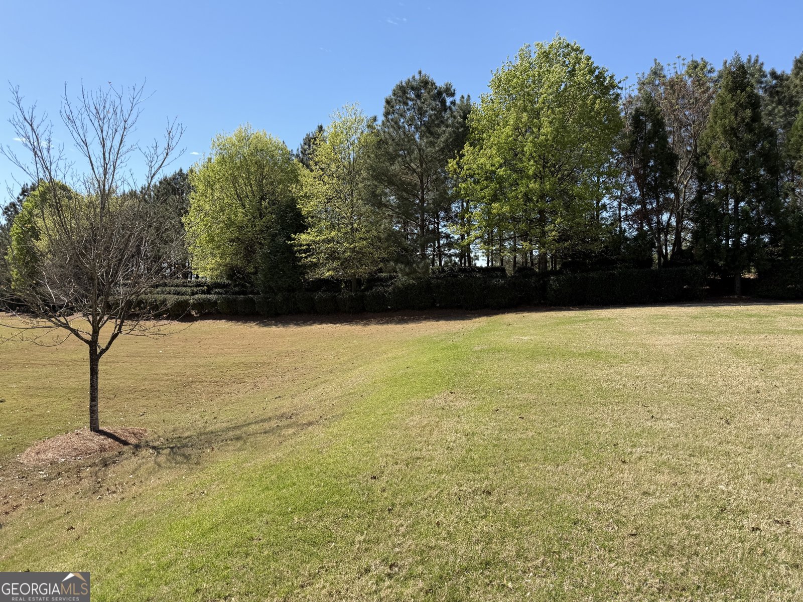1320 Summer Hollow Road Greensboro - Photo 44
