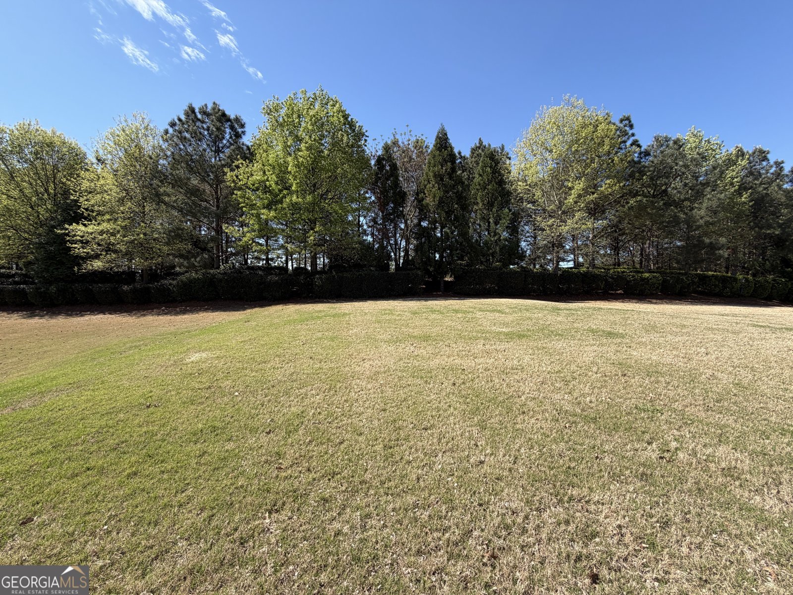 1320 Summer Hollow Road Greensboro - Photo 45