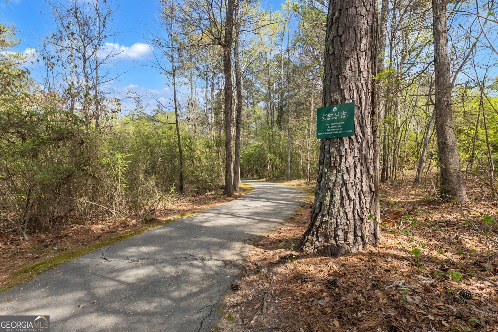 2763 Nautical Way Villa Rica - Photo 47