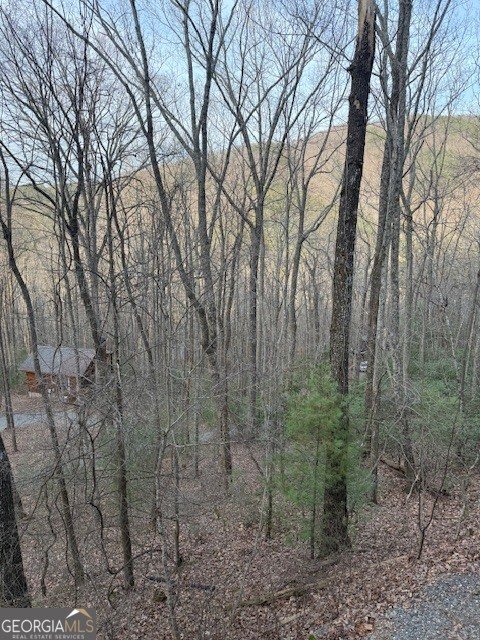 136 Little Rock Creek Trail Cherry Log - Photo 26