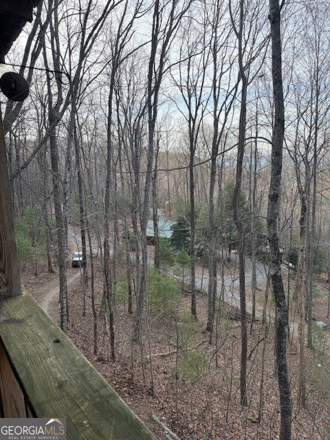 136 Little Rock Creek Trail Cherry Log - Photo 27