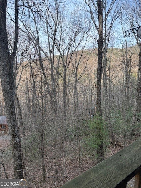 136 Little Rock Creek Trail Cherry Log - Photo 28