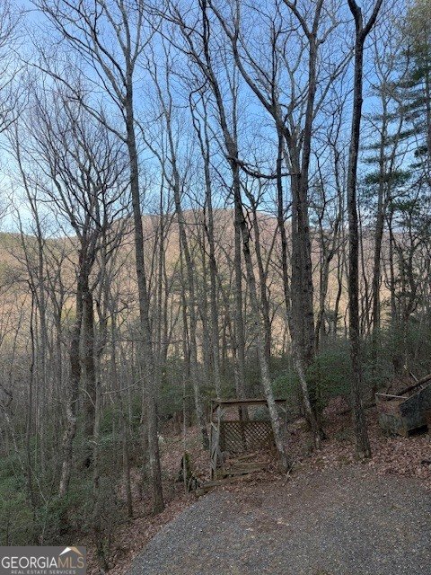 136 Little Rock Creek Trail Cherry Log - Photo 29