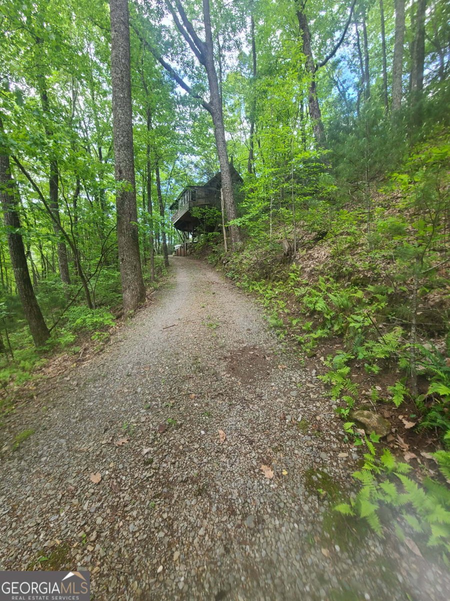 136 Little Rock Creek Trail Cherry Log - Photo 6