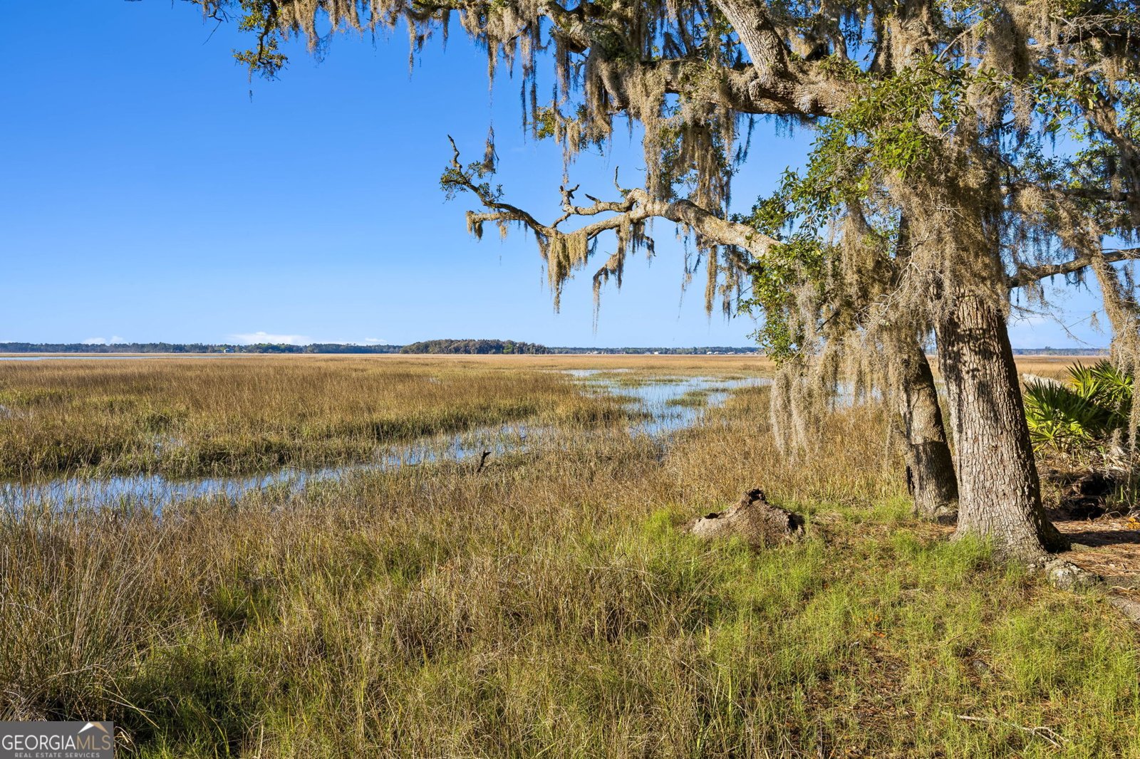 228 London Hill Road Woodbine - Photo 50