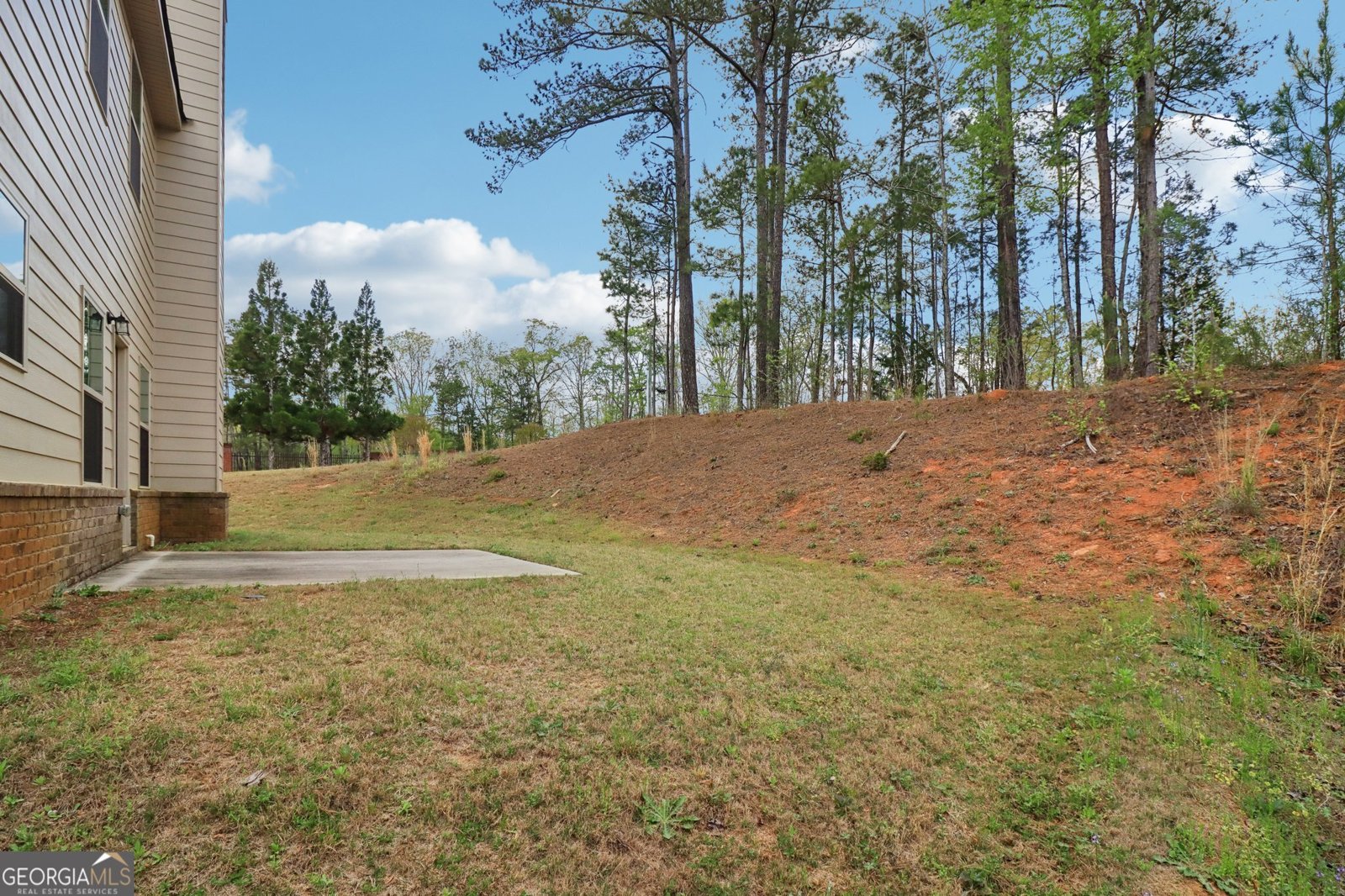 1001 Hartwell Road Locust Grove - Photo 53