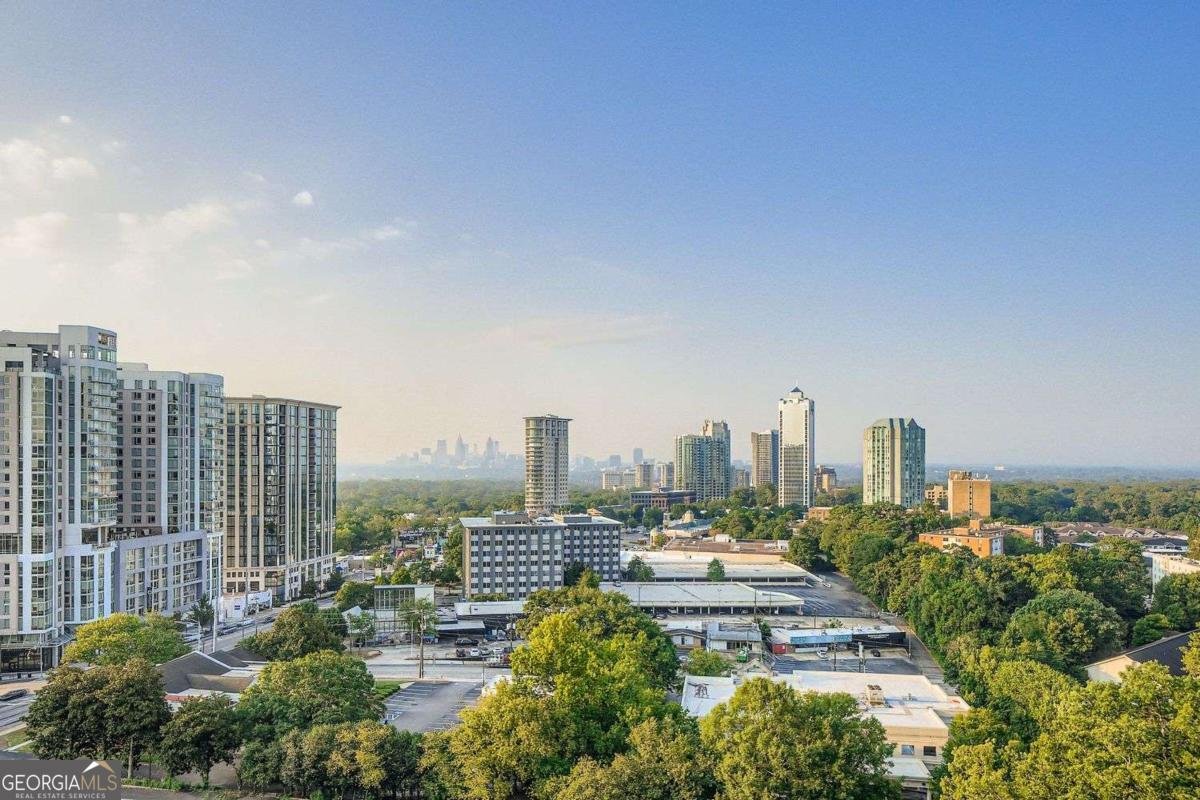 3040 Peachtree Road Atlanta - Photo 16