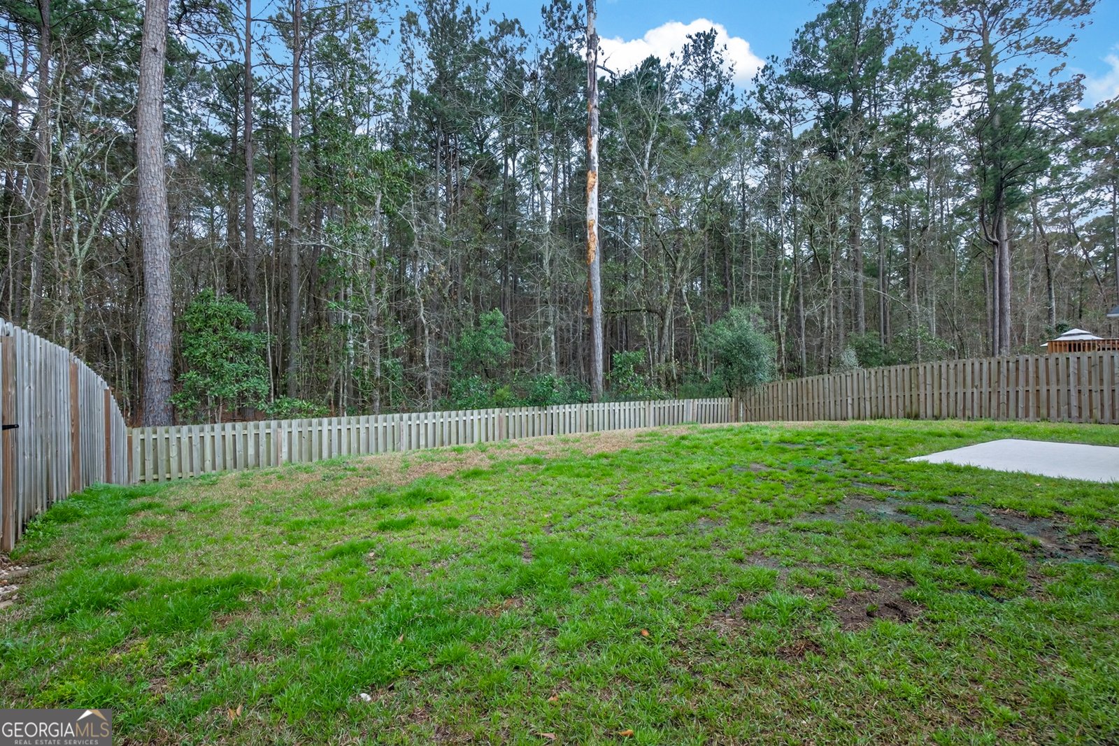 312 Serengeti Boulevard Pooler - Photo 38