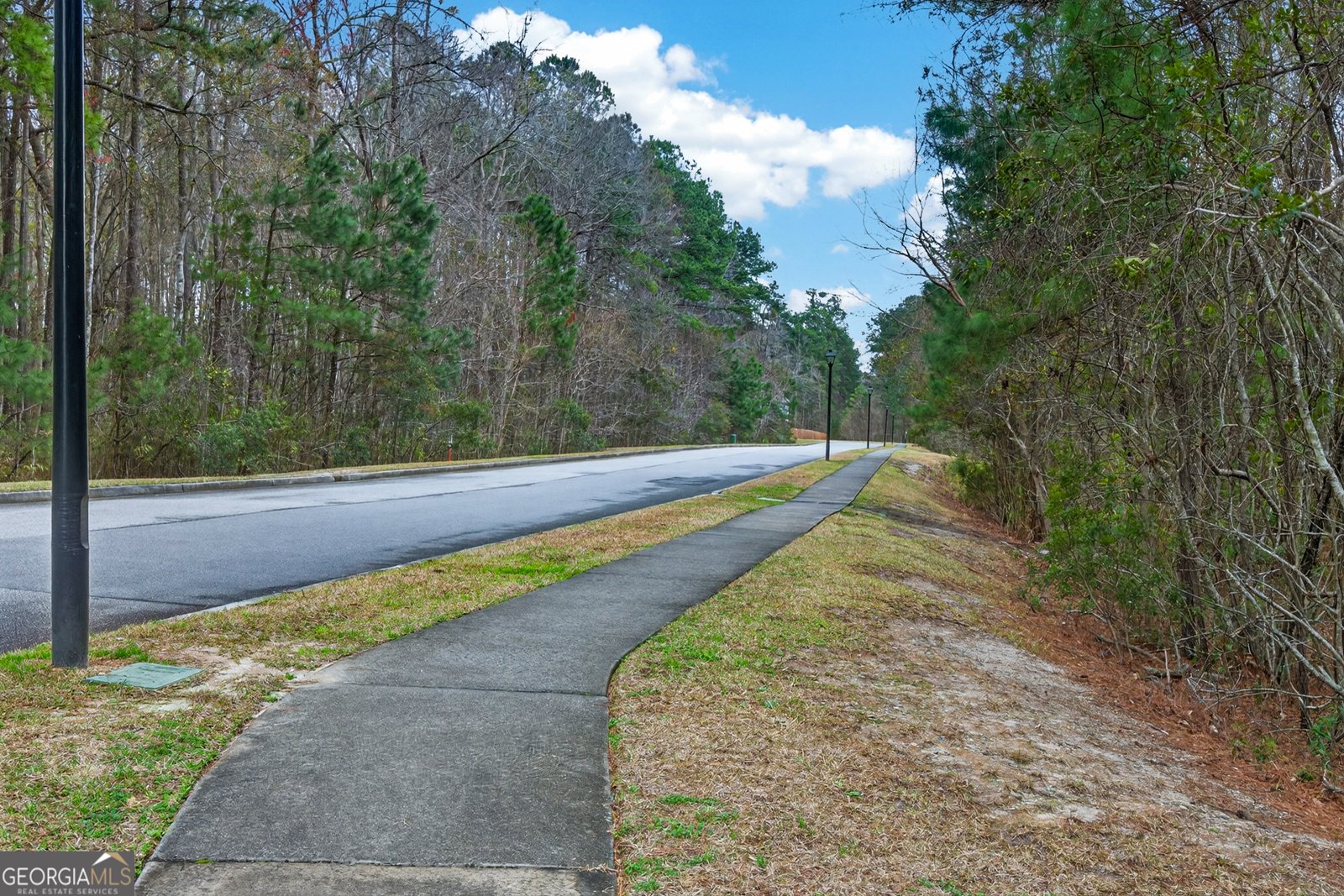 312 Serengeti Boulevard Pooler - Photo 41