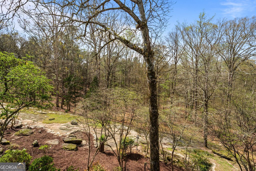 1116 Astoria Lane Peachtree City - Photo 33