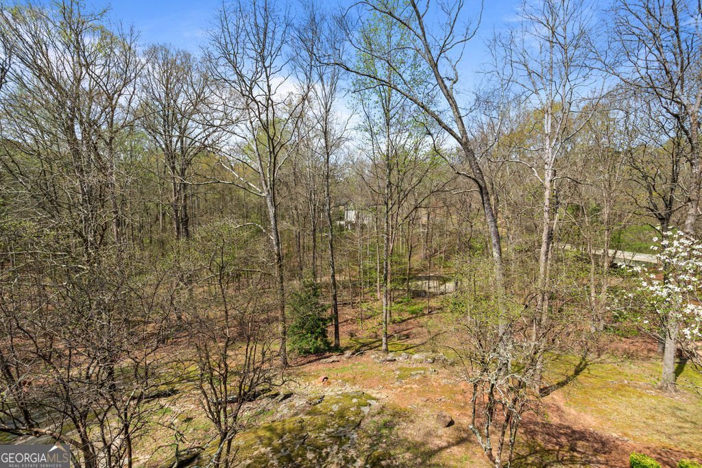 1116 Astoria Lane Peachtree City - Photo 34