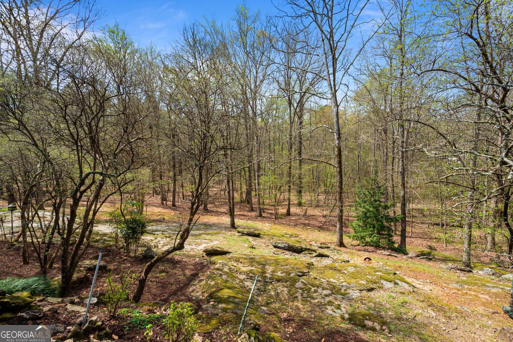 1116 Astoria Lane Peachtree City - Photo 66