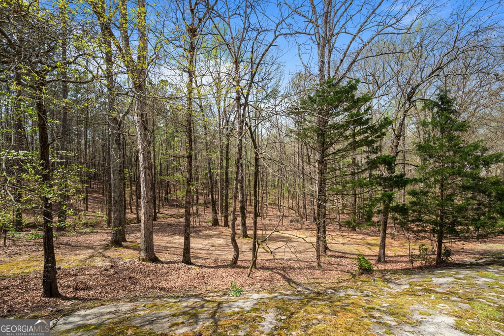 1116 Astoria Lane Peachtree City - Photo 73