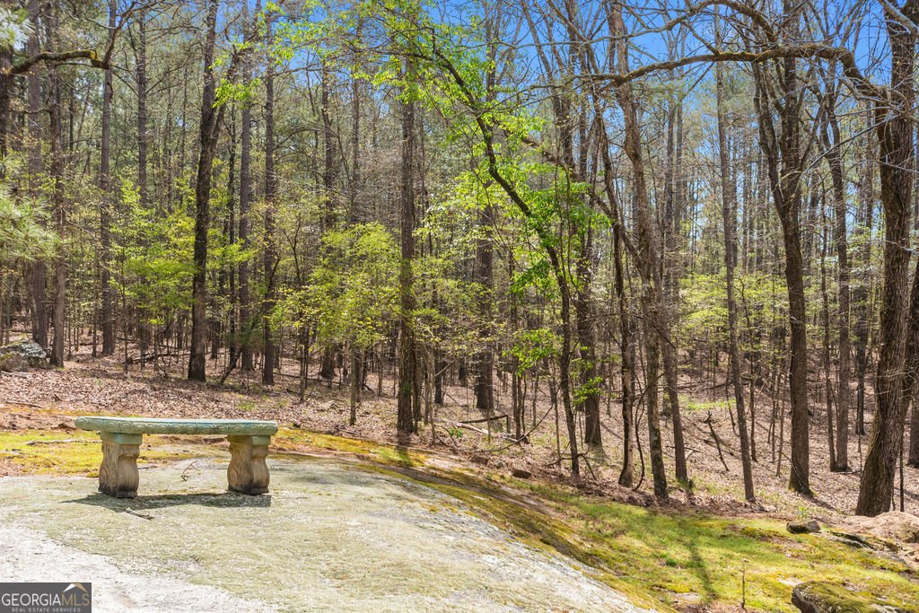 1116 Astoria Lane Peachtree City - Photo 74