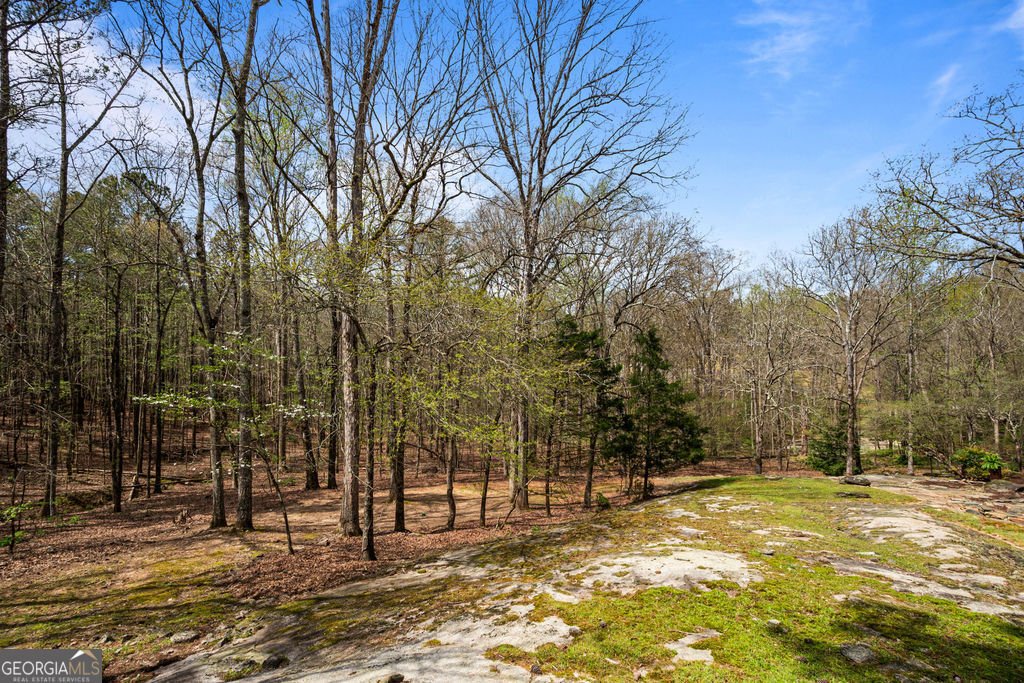 1116 Astoria Lane Peachtree City - Photo 76