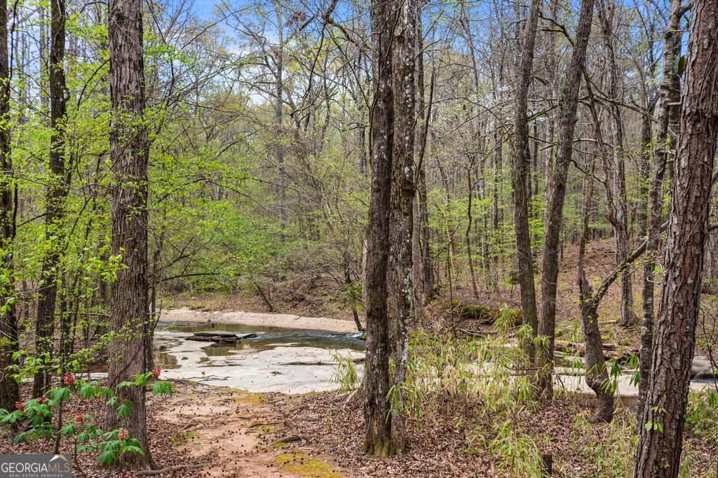 1116 Astoria Lane Peachtree City - Photo 86