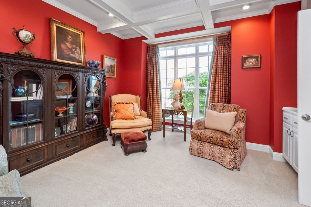 1116 Astoria Lane Peachtree City - Photo 9