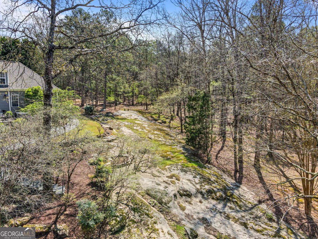 1116 Astoria Lane Peachtree City - Photo 91