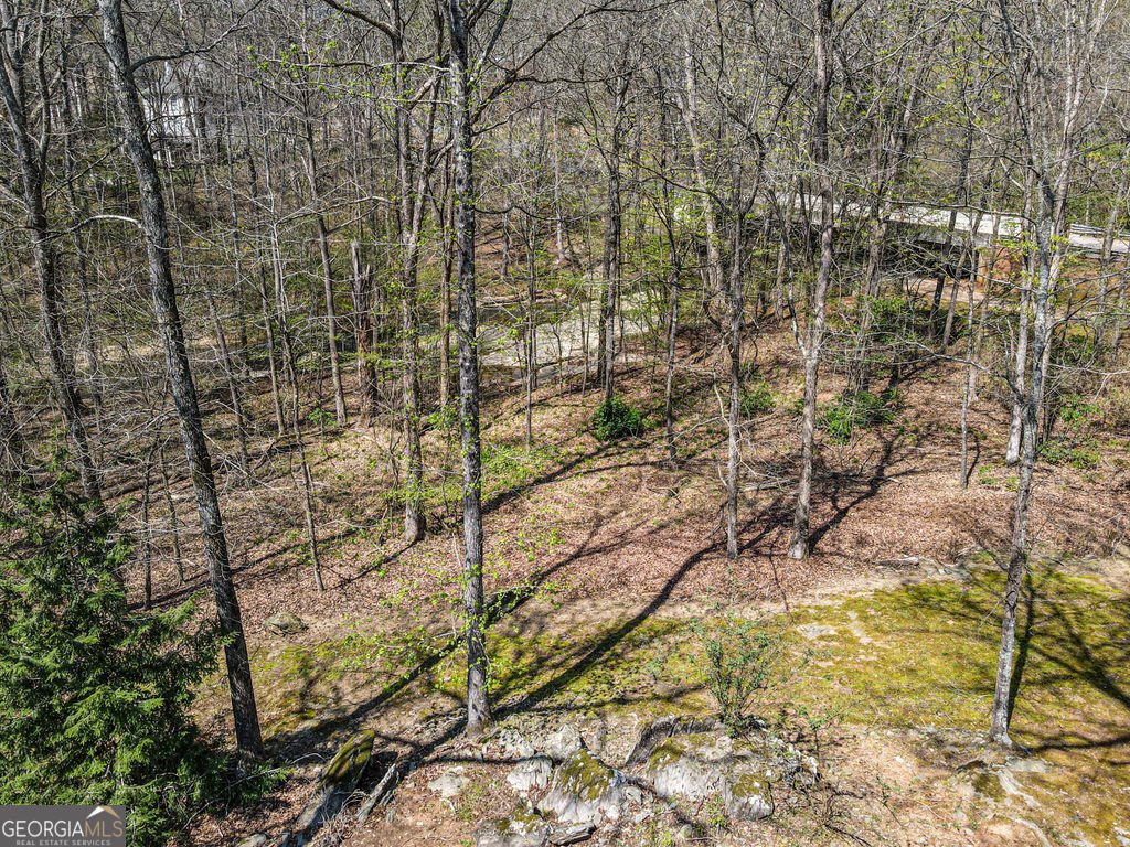 1116 Astoria Lane Peachtree City - Photo 92