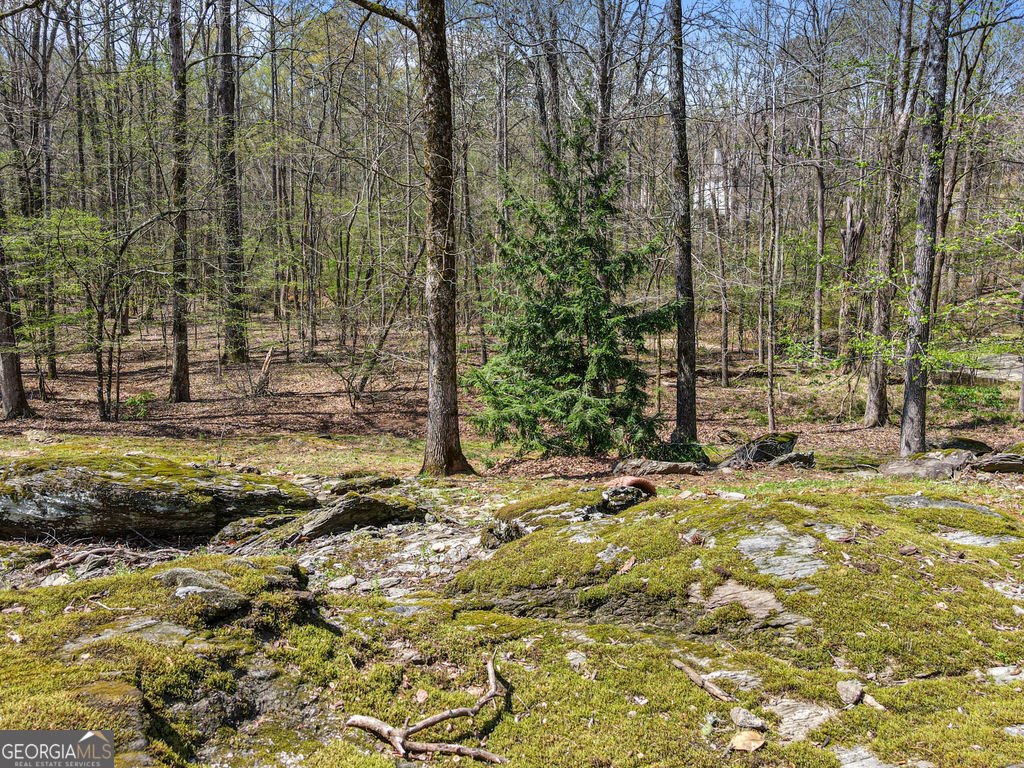 1116 Astoria Lane Peachtree City - Photo 93