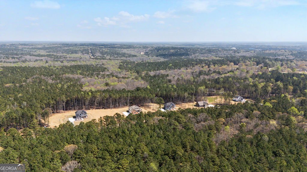 2365 New Hope Road Locust Grove - Photo 59