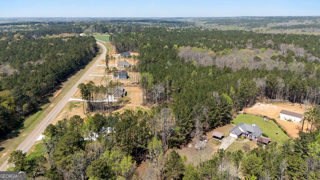 2365 New Hope Road Locust Grove - Photo 60