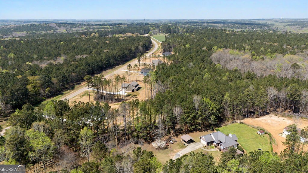 2345 New Hope Road Locust Grove - Photo 60