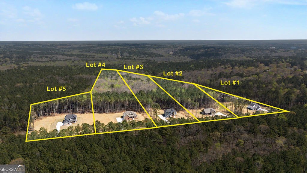 2345 New Hope Road Locust Grove - Photo 61