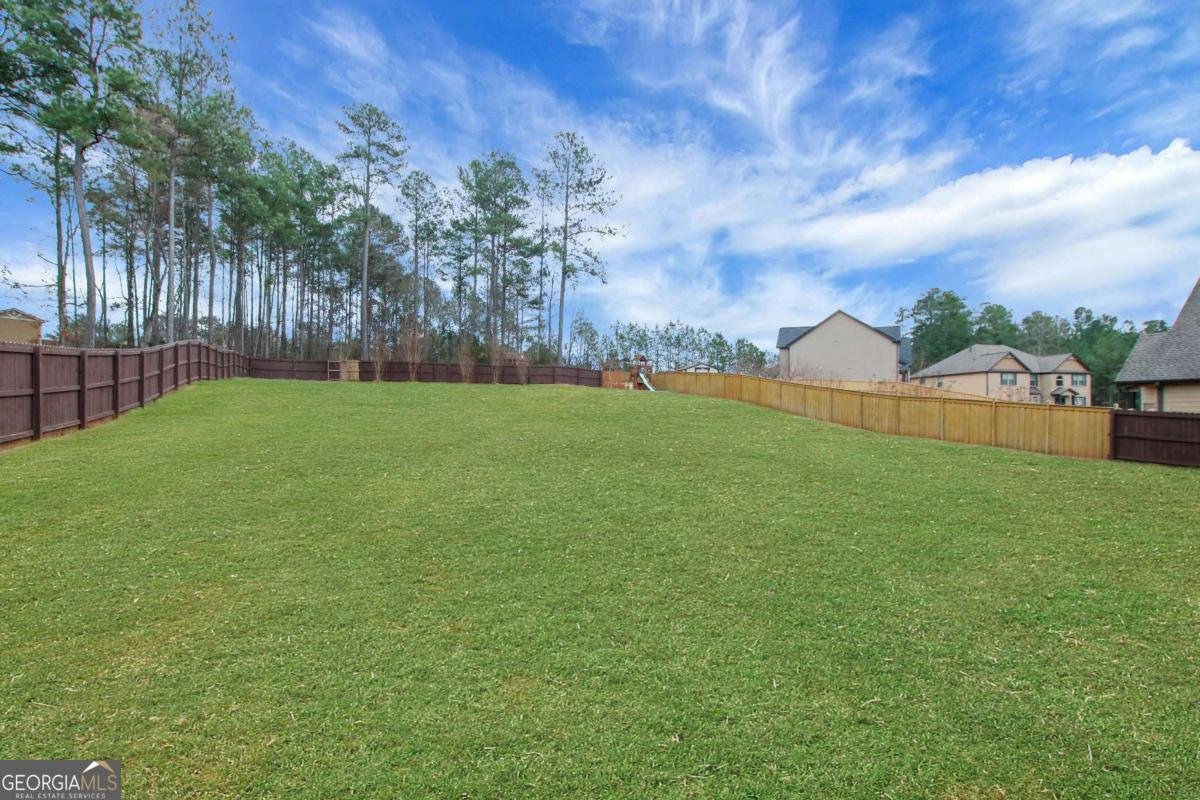 4605 Chestnut Oak Street Loganville - Photo 47