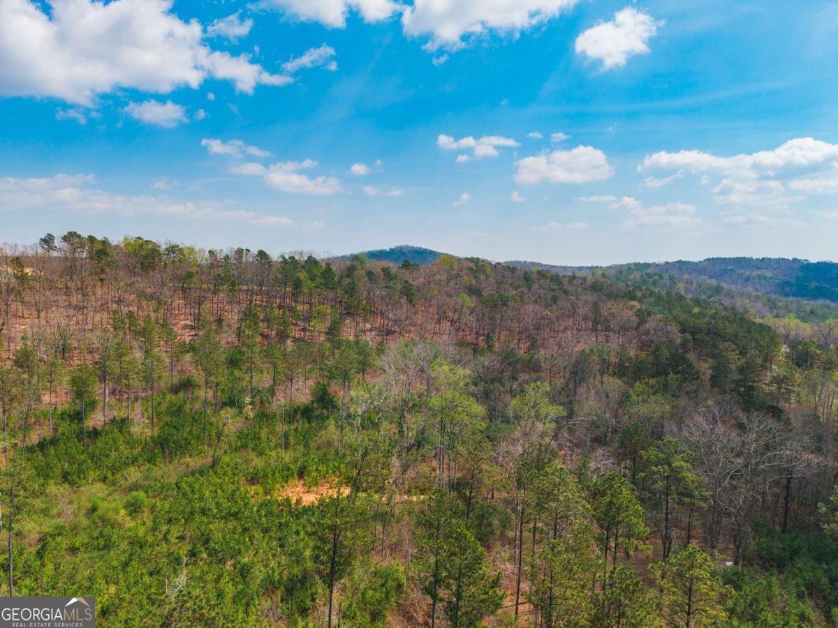 84 Bridle Path Drive Ball Ground - Photo 26