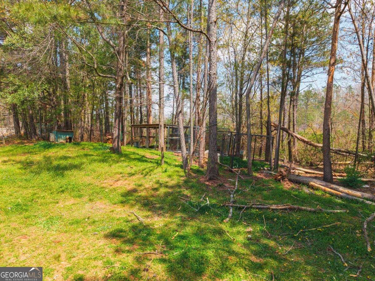 84 Bridle Path Drive Ball Ground - Photo 27