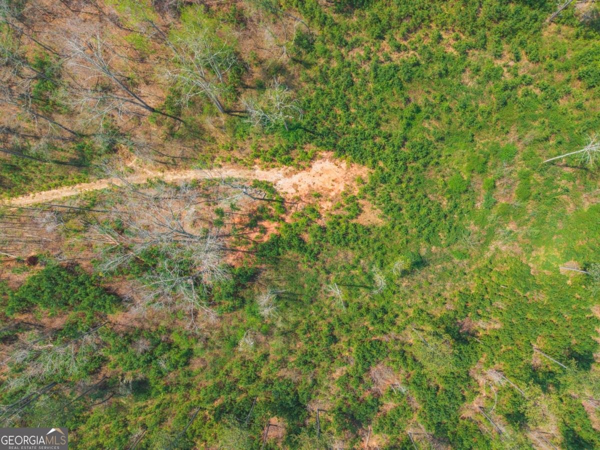 84 Bridle Path Drive Ball Ground - Photo 33