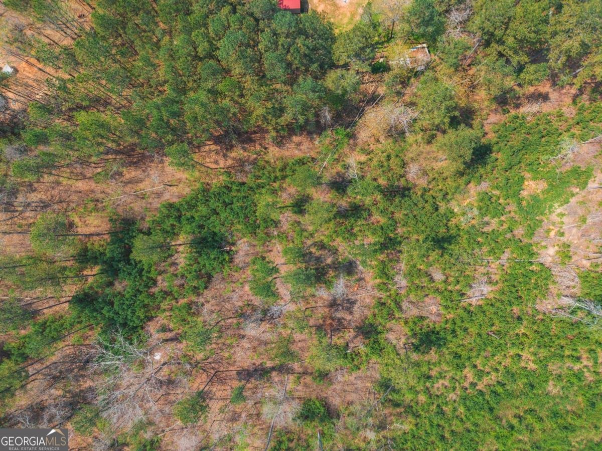 84 Bridle Path Drive Ball Ground - Photo 34