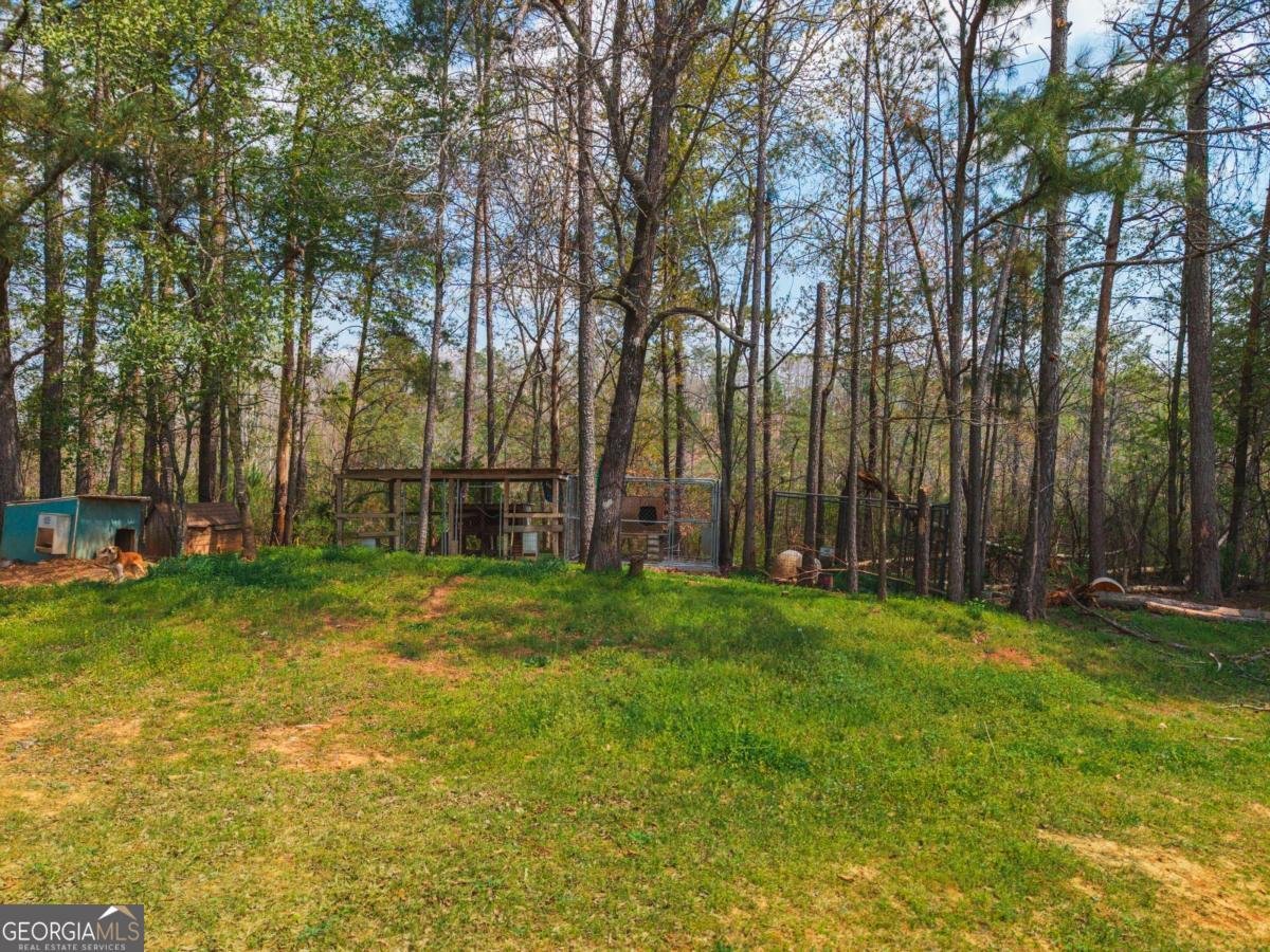 84 Bridle Path Drive Ball Ground - Photo 35