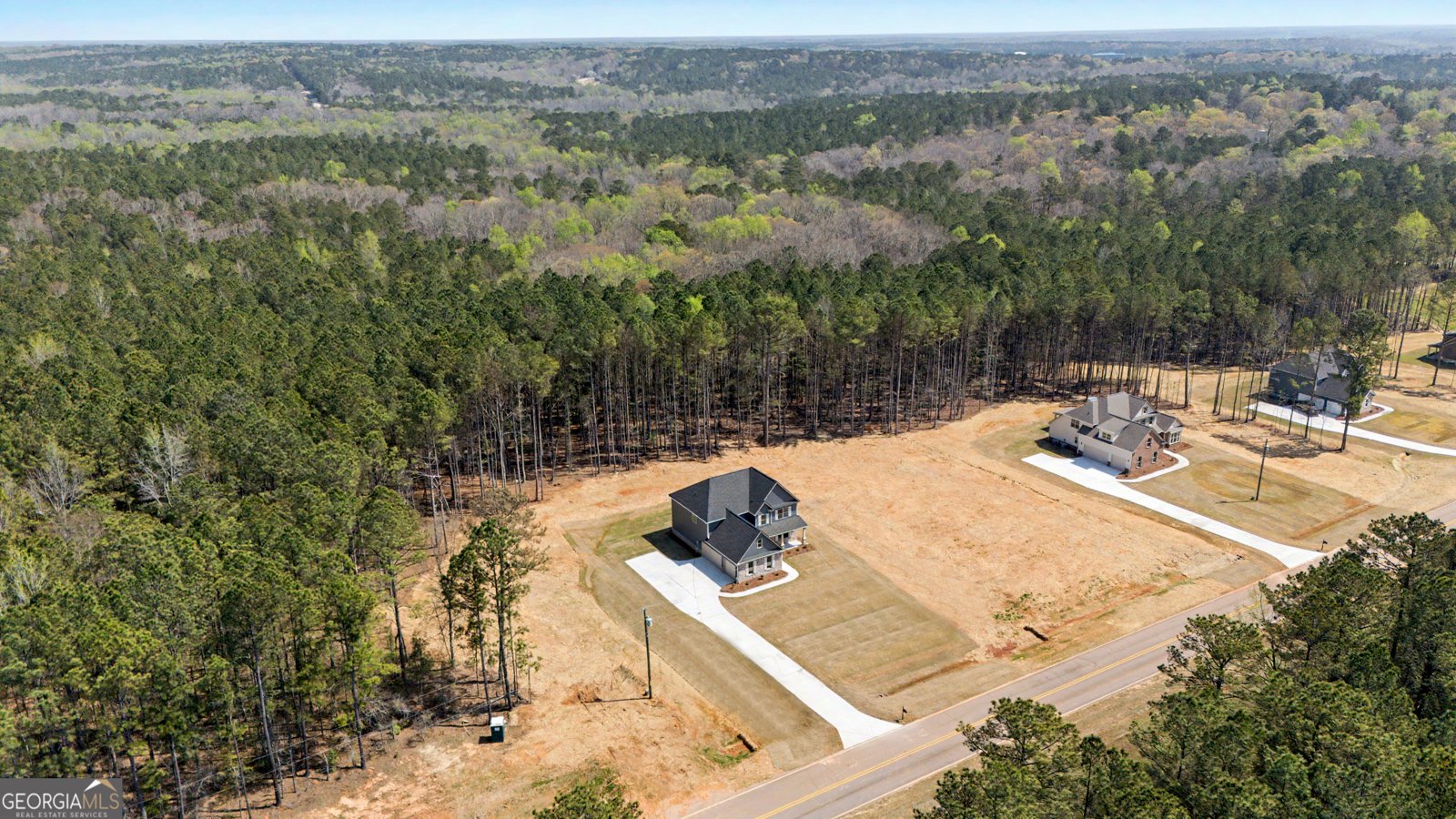 2305 New Hope Road Locust Grove - Photo 47