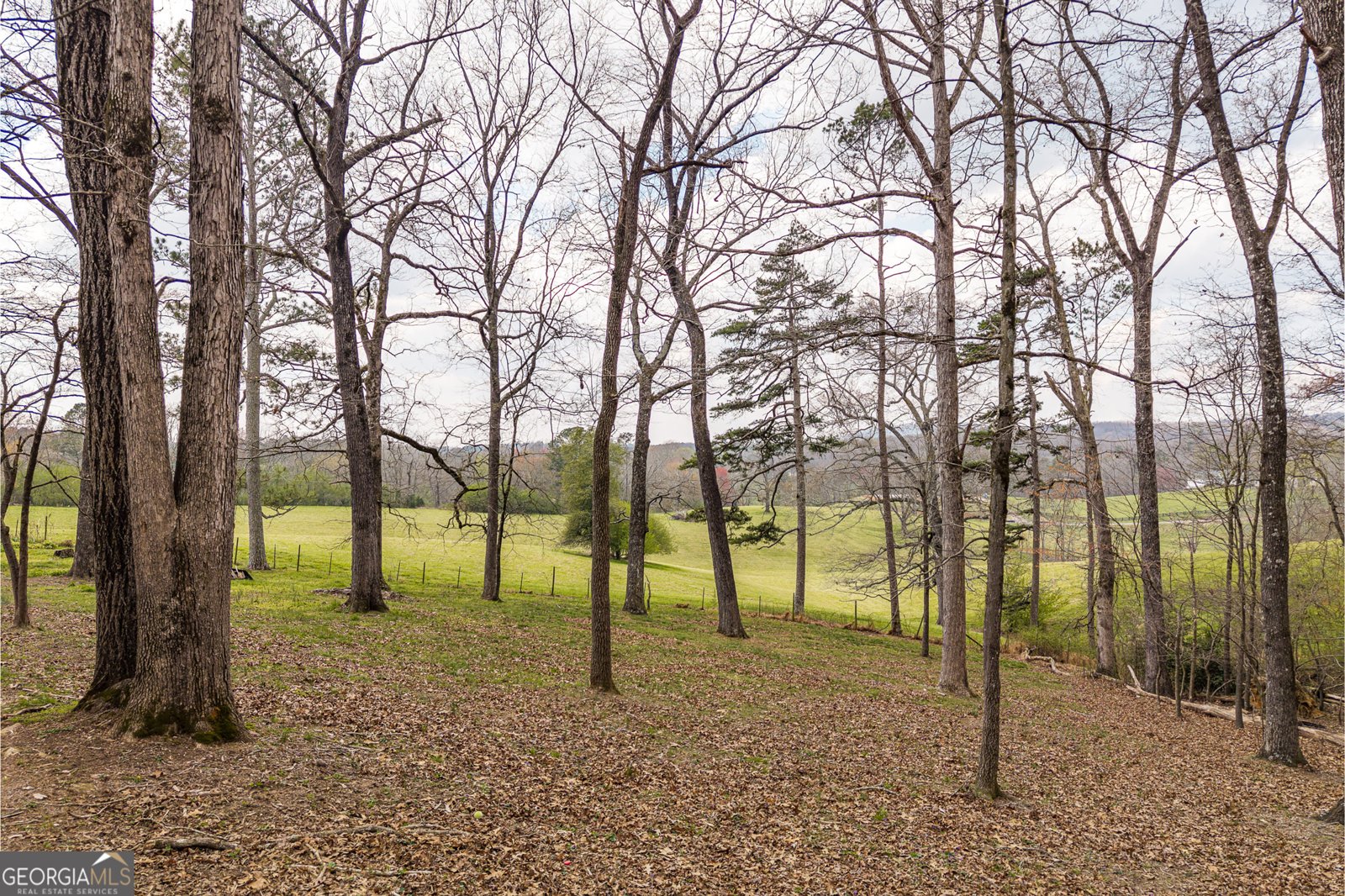 195 Wise Acres Road Ellijay - Photo 38