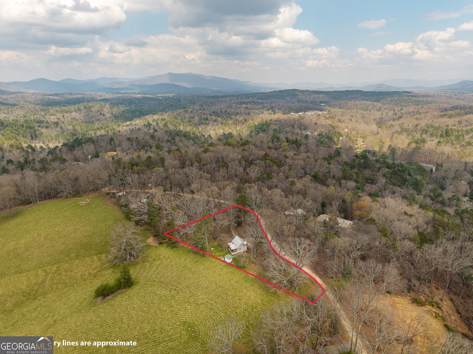 195 Wise Acres Road Ellijay - Photo 43