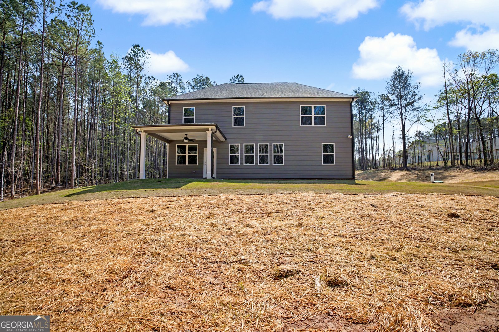 3921 Peeksville Road Locust Grove - Photo 45