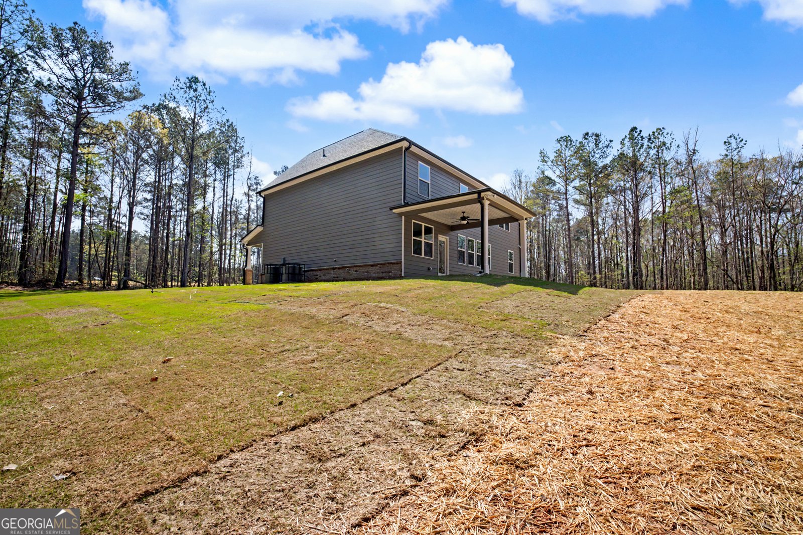 3921 Peeksville Road Locust Grove - Photo 46