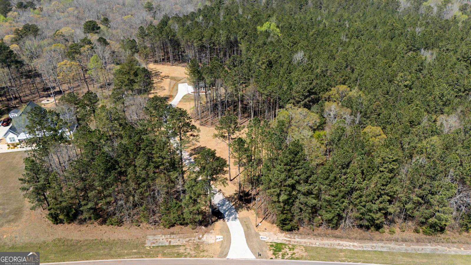 3921 Peeksville Road Locust Grove - Photo 48