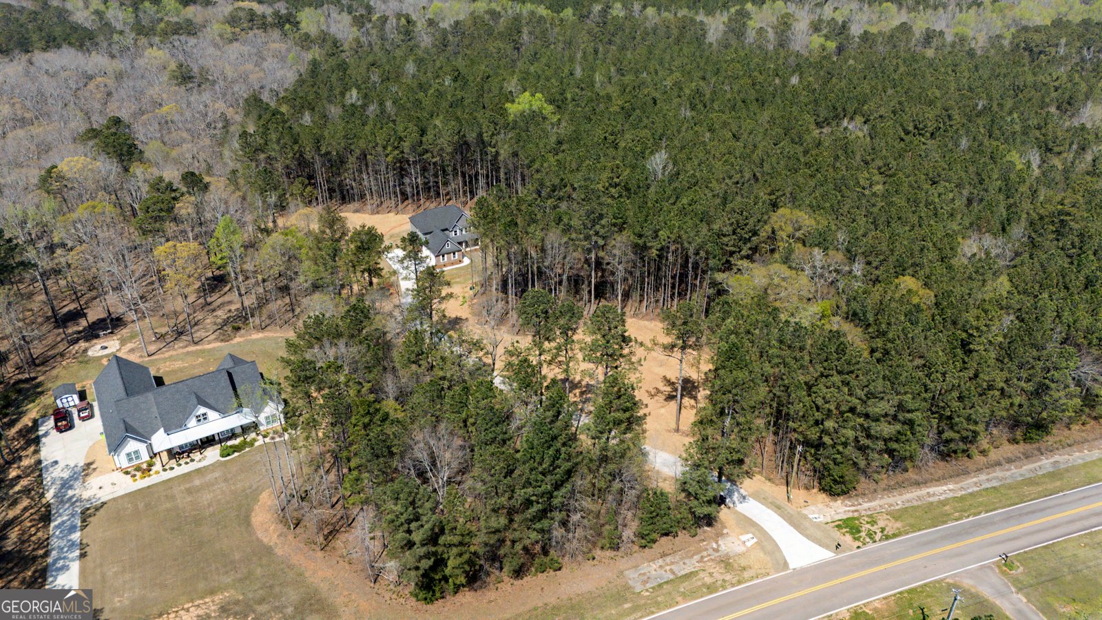 3921 Peeksville Road Locust Grove - Photo 49