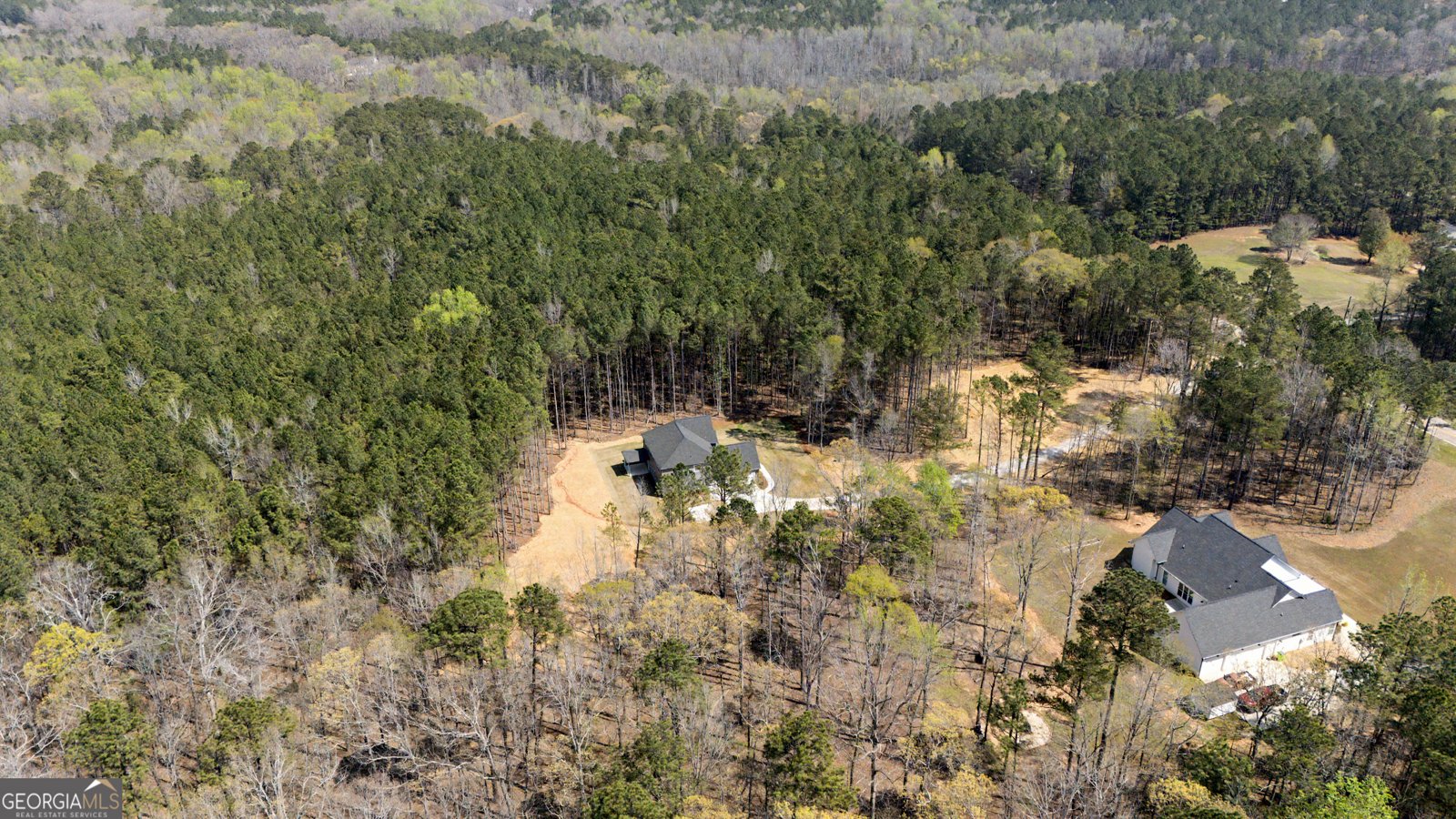 3921 Peeksville Road Locust Grove - Photo 51