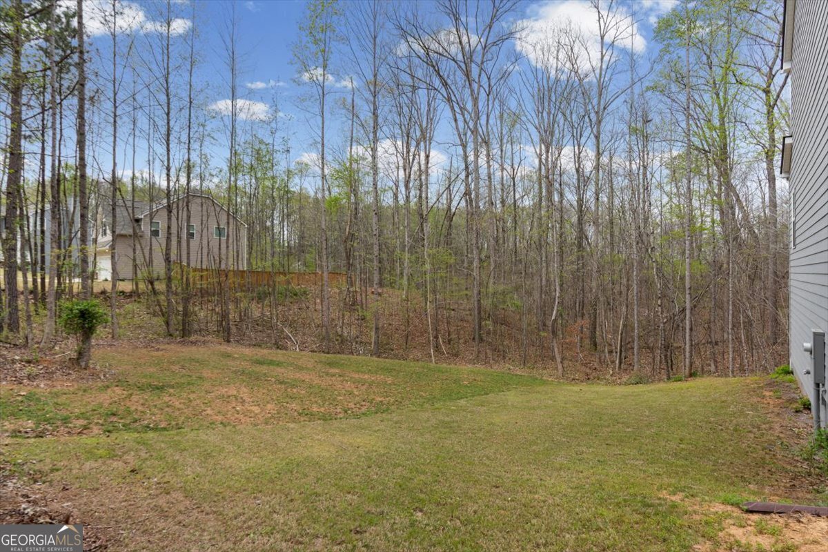 455 Ajo Way Dallas - Photo 50