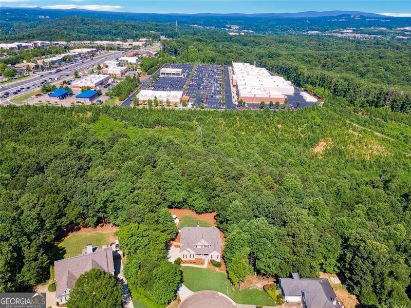 202 Brooke Place Canton - Photo 48