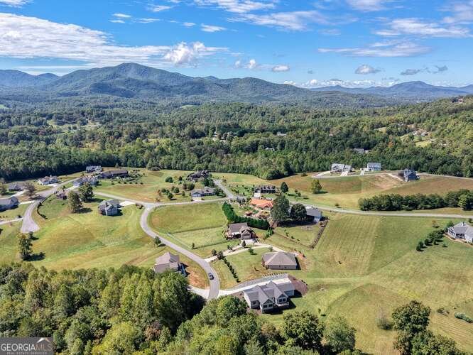 85 Minstead Ridge Young Harris - Photo 12