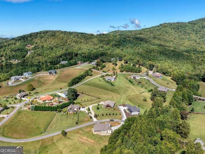 85 Minstead Ridge Young Harris - Photo 29