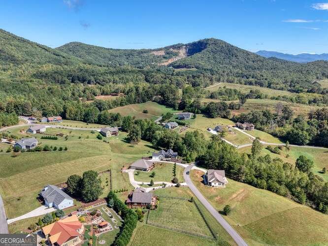 85 Minstead Ridge Young Harris - Photo 48