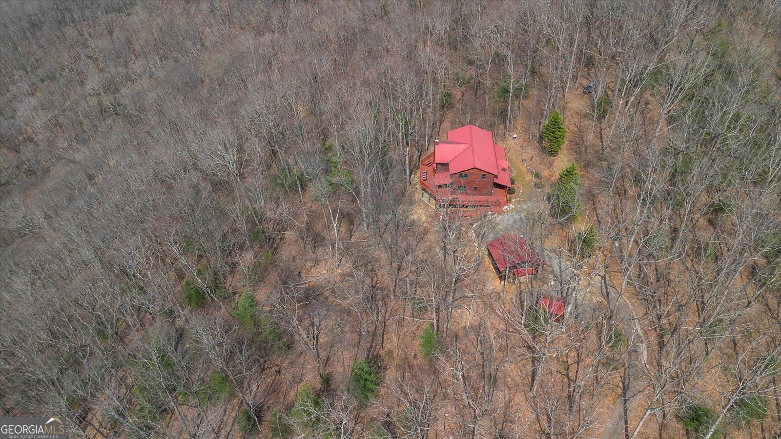 881 Fox Mountain Road Cherry Log - Photo 8