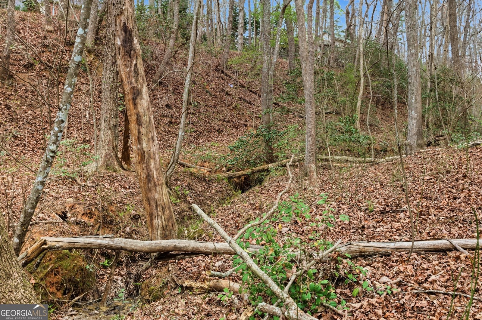 276 Bent Oak Drive Cornelia - Photo 44