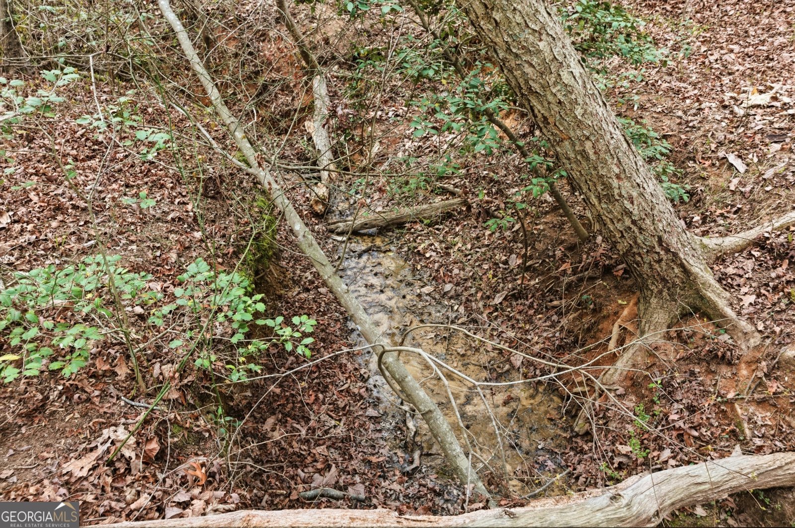 276 Bent Oak Drive Cornelia - Photo 45